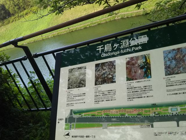 �璹�P������