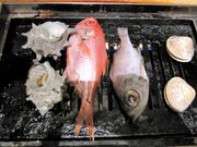 񂳂̕lĂ񂿂̓eʐ^1