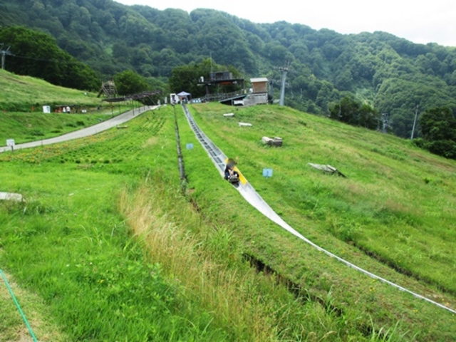 �T�}�[�{�u�X���[�I_���򍂌��X�L�[��