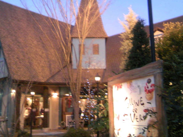 b̐Ê悤ȊO_َqH[@F[̋u