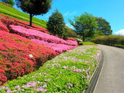 _ސ쌧ASsĂ܂Ǐ̓eʐ^3