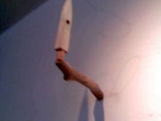 ӂ񂳂̂˂܂_izj̓eʐ^2