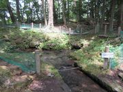 Ђ낿񂳂̖uONv̓eʐ^2