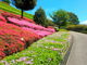 神奈川県立公園、全部行ってきました！さんの県立あいかわ公園の投稿写真3