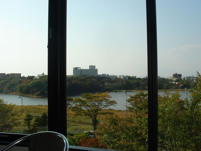 LXƖ邢Xg̒]_ZԒ t̓X