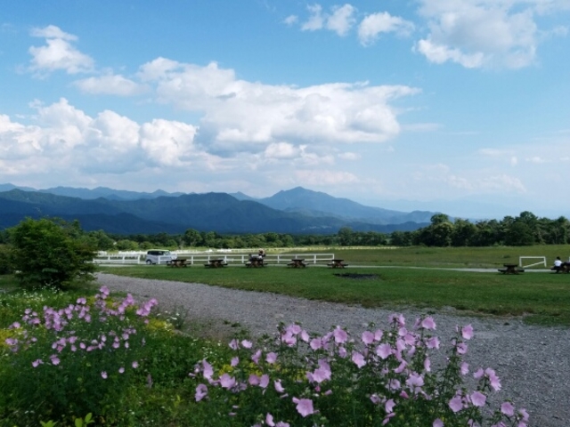 ����₩�Ȑ�������_��������