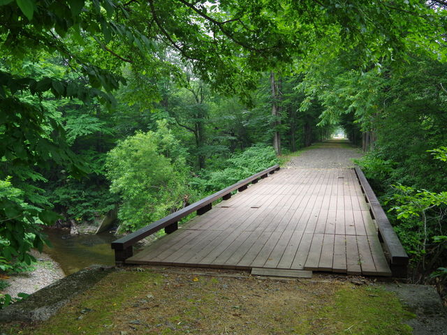 KAZZ̎돟|b|̓̓eʐ^2