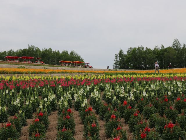 �l�G�ʂ̋u_�l�G�ʂ̋u