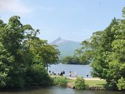 topology̖kCxoR̓eʐ^1