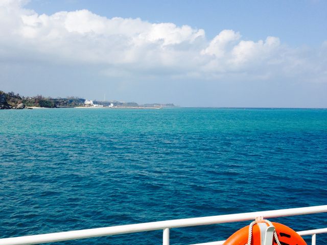 �D����̎ʐ^_�ɐ�����