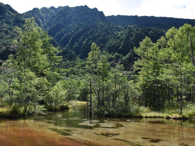 【田代池】アクセス・営業時間・料金情報 - じゃらんnet