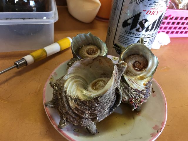 TUĜڏĂBr[ꏏɁ_g˖TUĜڏĂX