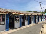 poporon̔g˖TUĜڏĂX̓eʐ^1