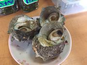 poporon̔g˖TUĜڏĂX̓eʐ^2