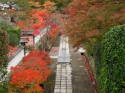 �ނ炿��񂳂�̖��莛�̓��e�ʐ^2