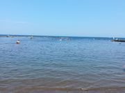 mimico̔Ԑ_EԐ_C̓eʐ^1