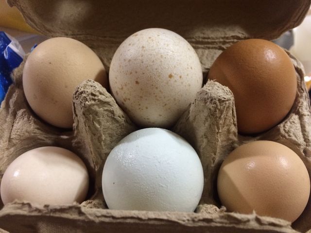 ���̖q��ɂ��钹�B�̗��Ŏ��ʒ�etc�c�ł��B6��150�~�Ȃ�Ĉ������I�����Ĕ������߂��I_�n�C�W�q��