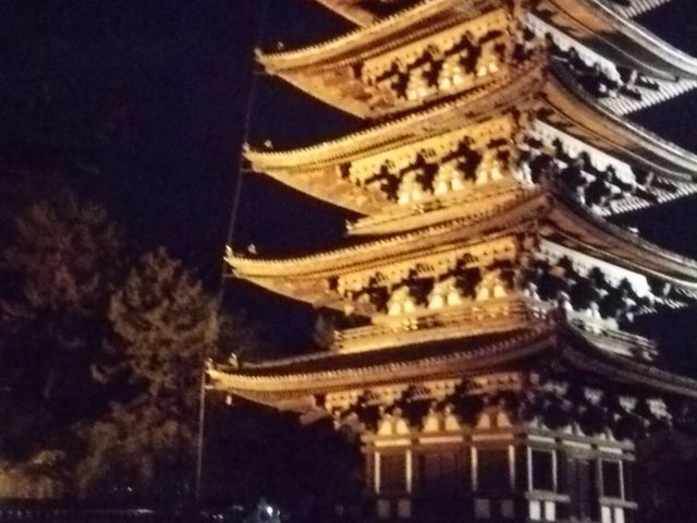 燈籠ライトアップ_興福寺（奈良県奈良市）
