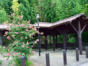 䂸҂݂̂̂E͂W]̓eʐ^1