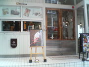 ]ˉƉLSILKREAMiVN[j@aJX̓eʐ^1