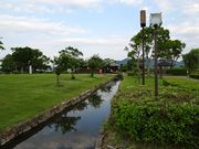 񂸂̔\o쐅ԂƃJk[h̓eʐ^5