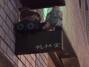 ߂̂₳̓ѓ@RX̓eʐ^1