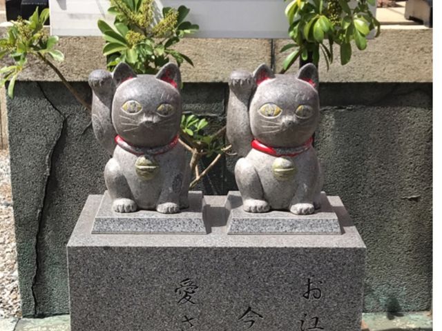 �����L_���ː_��