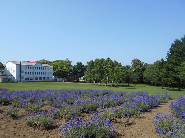 ���x���_�[��_�����ۂ�r���u�W�]��