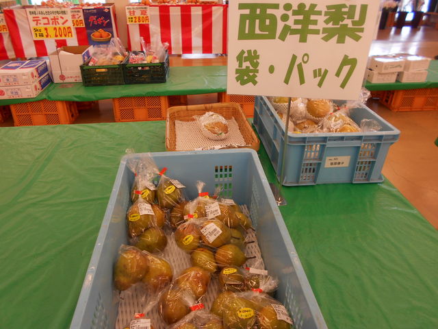 t[c_i`ڂЂ˃t@[}[Y}[PbgĂ||