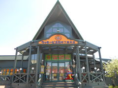 asuka����̃��b�L�[�s�G���������{�X�ւ̓��e�ʐ^1