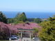 asukaさんの石崎地主海神社の投稿写真5