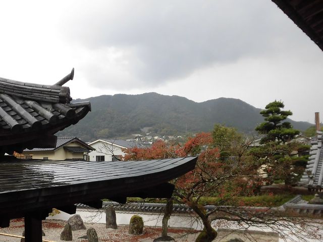 �D_�����T��