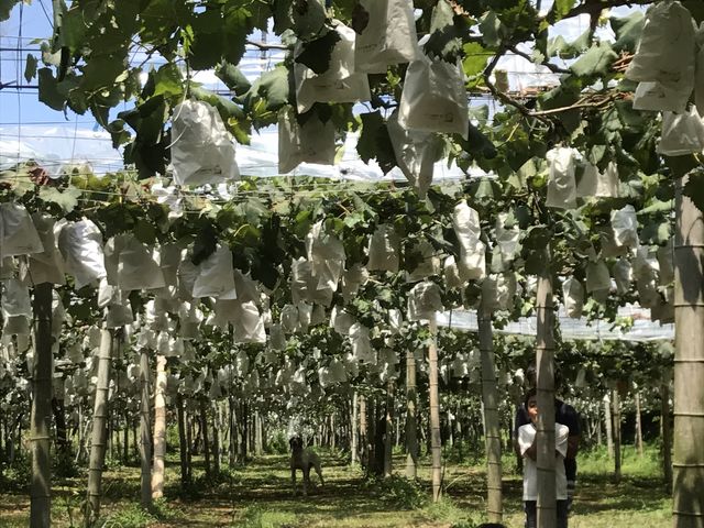 �Ԃǂ����̃g���Ǝq���B_�͖�Ԃǂ���