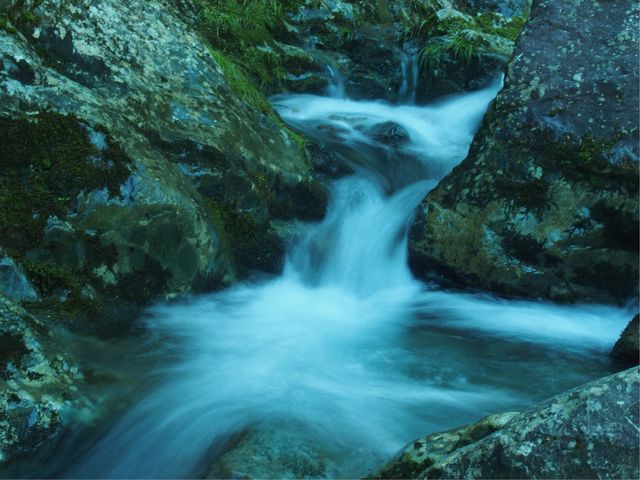 kishȋ吙JъԃLv̓eʐ^4