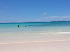 [񂳂̈ɗǕEnւ̓eʐ^1