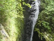 �l�h�m�`�l�h����̂������˂Ƃ�̓��e�ʐ^1