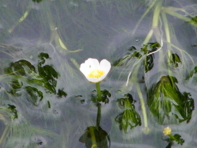 �~�ԑ�_����E�n����̔~�ԑ�