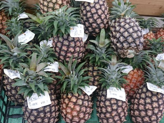 ̎Öx̂liŁAi͂Ⴂɗǂł_Ί_sݎs