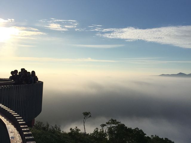 ���샊�]�[�g�@�g�}�� �_�C�e���X