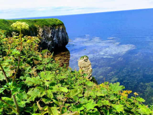 �f�R���猩���C_�\�斦�C��