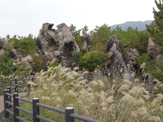 �n��_�G���W�]��