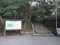 たびずきんさんの城山自然遊歩道（鹿児島県鹿児島市）への投稿写真1