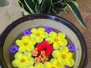 rubýiLj[gsAt@[{Ó̓eʐ^1