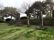 ���т����񂳂�̋_���V�F�����̓��e�ʐ^1