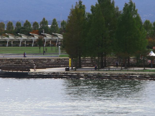 ����_�Ȃ��������̃V�o�U�N��