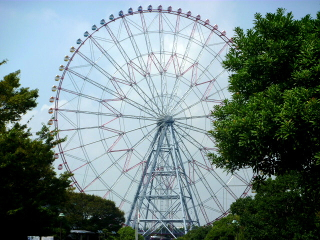 �ƂĂ��傫�Ȋϗ��ԁB_�_�C���ƉԂ̑�ϗ���