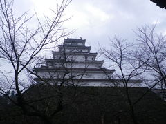 ����������̎ᏼ��V��t�ւ̓��e�ʐ^1