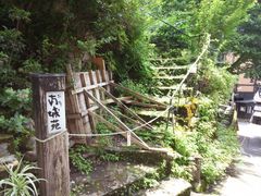 ܂񂳂̍쉷@ف@鉑ւ̓eʐ^1