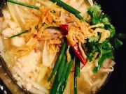 mimĩpZ Vh{X̓eʐ^1