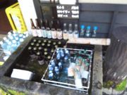 ܂񂳂̒nr[ulv̓eʐ^1